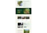 create a custom cms website for your business
